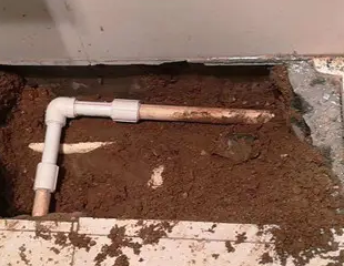 连云港测漏水哪家好