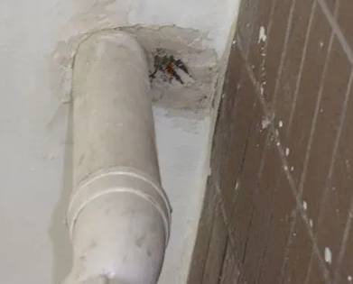 连云港漏水检测哪家好